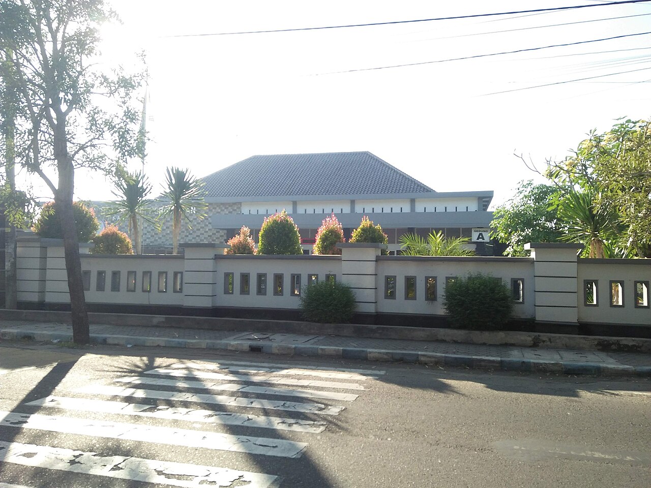 Pelatihan guru